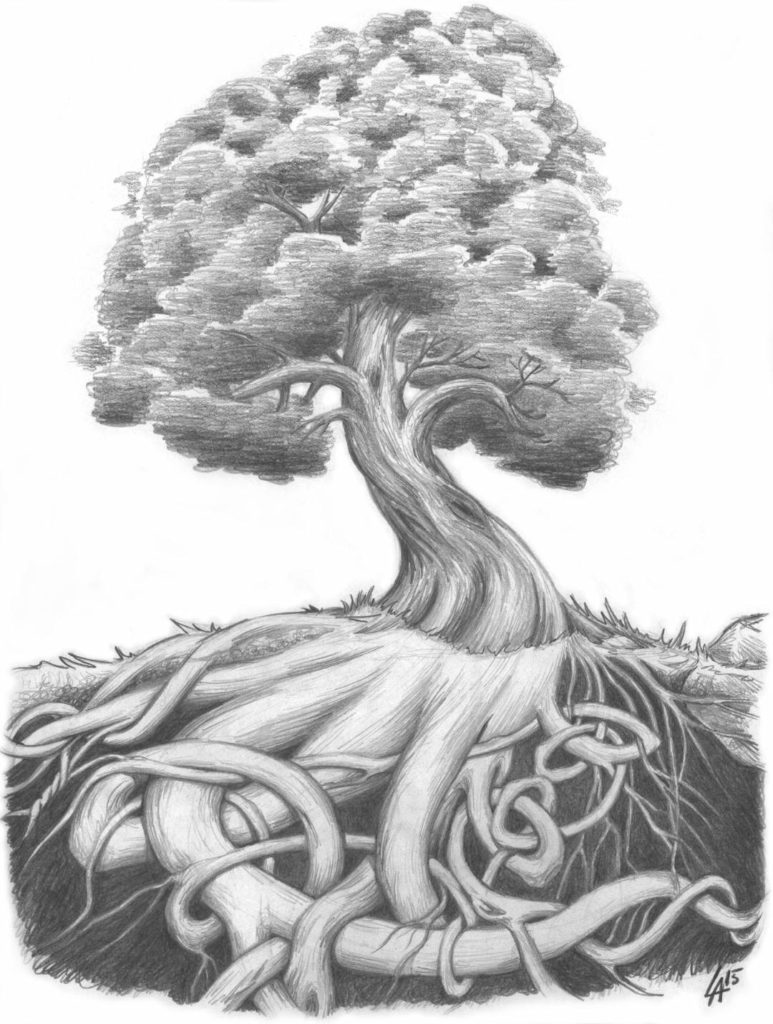 Sketch of a tree with roots mystically entwined in celtic knots
