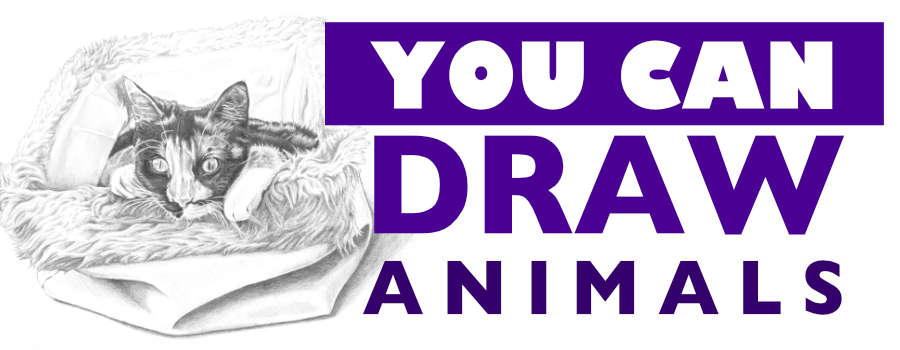 You Can Draw portraits of pets and animals intermediate drawing class
