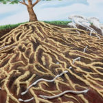 closeup of roots in 3D on the painting of the Wood Wide Web