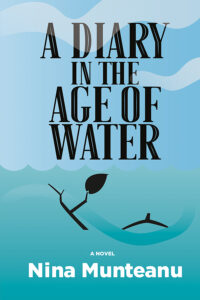 book cover for A Diary in the Age of Water