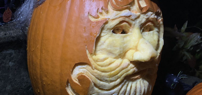 3D pumpkin carving of a a wizard