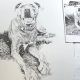 Pet Portrait Drawing for Beginners – class 4