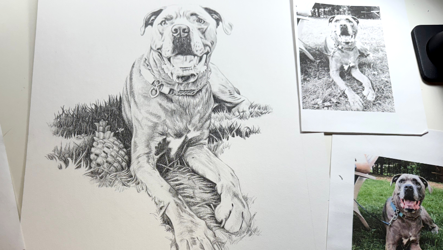 pet portrait drawing tutorial art class for newbies